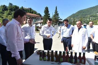 qarTuli-ocnebis-liderebma-qedaSi-programis---awarmoe-saqarTveloSi-mxardaWeriT-Seqmnili-xilis-gadamamuSavebeli-sawarmo-da-Rvinis-qarxana-daaTvalieres