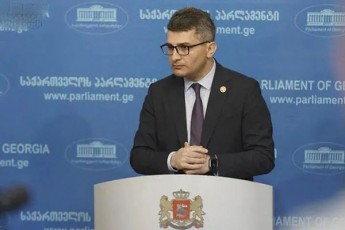 mamuka-mdinaraZe-nacmoZraobis-liderebs-mouwodebs-nu-daumalaven-TavianT-aqtivs-Sida-kvlevis-Sedegebs