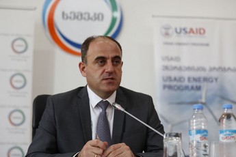 daviT-narmania-USAID-is-RonisZiebaze-sityviT-wardga