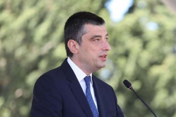 giorgi-gaxaria-Rirseuli-partniori-2020-is-farglebSi-miRebuli-codna-globaluri-mSvidobis-dasamyareblad-unda-gamoviyenoT
