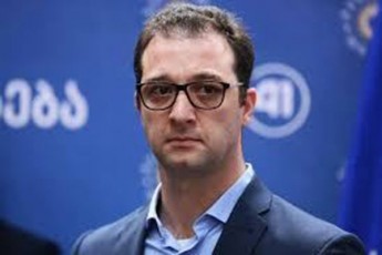 -evroparlamentarebisgan-bevri-pozitiuri-gancxadeba-movismineT-im-evropuli-gzis-mimarT-romelic-arCeuli-aqvs-Cvens-qveyanas