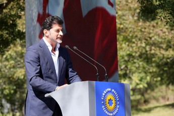 qarTuli-ocnebis-erTiani-gundi-arsebul-politikur-sivrceSi-erTaderTi-Zalaa-romelsac-qveynis-ganviTarebis-mkafio-xedva-da-arsebuli-gamowvevebis-gadaWris-realuri-resursi-da-unari-gaaCnia
