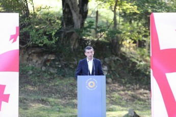 mamuka-mdinaraZe-ar-arsebobs-sfero-sadac-ar-aris-Zireuli-da-seriozuli-winsvla