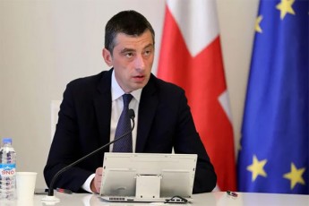 premieri-nebismieri-SezRudva-romelic-Teoriulad-SeiZleba-dawesdes-iqneba-miznobrivi-da-lokaluri---ar-iqneba-sistemuri-SezRudvebi-qveynis-masStabiT