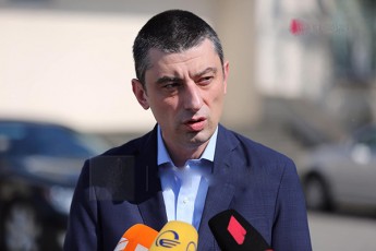 giorgi-gaxaria-arCevnebi-Catardeba-mSvid-demokratiul-garemoSi-pandemia-mas-xels-ver-SeuSlis