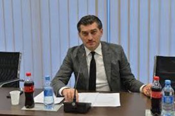 mixeil-yavelaSvili-50---Salva-naTelaSvili-25---Survation-is-kvleva-naZaladevis-maJoritarul-olqSi