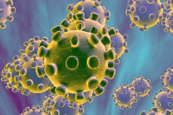 amiran-gamyreliZe-pandemia-sxvadasxva-gaTvliT-erT-weliwadSi-SeiZleba-Cacxres