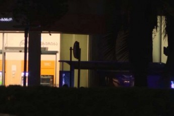 zugdidSi-saqarTvelos-bankze-Tavdamsxmelma-erTi-mZevali-gaaTavisufla