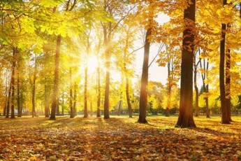 30-oqtombramde-dasavleT-saqarTveloSi-haeris-temperatura-30-gradusamde-moimatebs