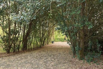 SekveTilis-dendrologiuri-parkis-vizitorebma-1-milions-miaRwia