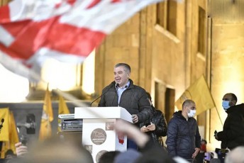 daviT-baqraZe-aqciis-monawileebs-mTavrobas-hgonia-rom-simarTle-aris-ZalaSi-magram-megobrebo-simarTle-ar-aris-ZalaSi-Zalaa-simarTleSi