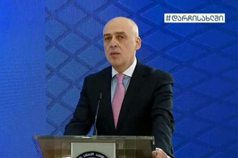 daviT-zalkaliani-yvela-vTanxmdebiT-rom-natoSi-saqarTvelos-gawevrianebisTvis-misaRebia-politikuri-gadawyvetileba