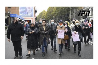 nino-burjanaZe-dedamiwis-zurgze-veravin-gvibrZanebs-im-parlamentSi-Sesvlas-romelic-aris-gayalbebuli-da-manipulirebuli