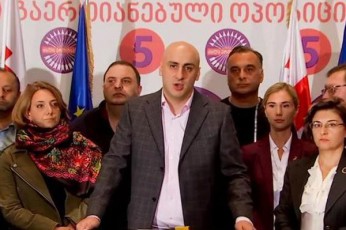 Tu-xelisuflebasTan-molaparakeba-CaiSala-nacmoZraoba-Tavis-saarCevno-sias-gaanulebs