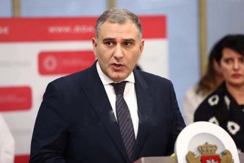 mixeil-sarjvelaZe-vfiqrob-metad-samarcxvino-levan-berZeniSvilis-mier-am-saxiT-qarTveli-amomrCevlis-moxseniebaa