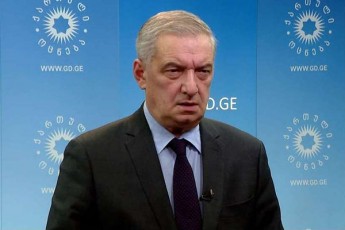 giorgi-volski-saerTaSoriso-gancxadebebi-situaciis-zust-Sefasebas-emyareba