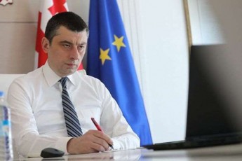 giorgi-gaxaria-biujetis-ganxilvebSi-ukiduresad-mniSvnelovania-yvela-politikuri-mxaris-monawileoba-romelsac-es-saqarTvelos-moqalaqem-daavala