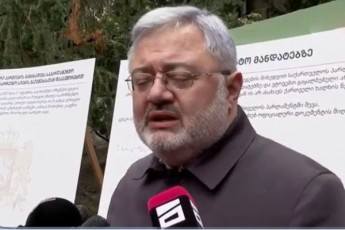 daviT-usufaSvili-samwuxarod-xelisuflebis-ugunuri-politikis-gamo-saWiro-gaxda-am-wertilamde-mosvla