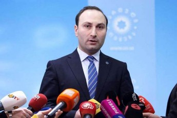anri-oxanaSvili-biZina-ivaniSvilis-gadawyvetilebaze-esaa-sruliad-gansxvavebuli-demokratiuli-da-moraluri-standarti---ar-gqondes-ZalauflebaSi-mudmivad-darCenisken-swrafva