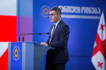 mamuka-mdinaraZe-parlamenti-ara-uflebamosilia-aramed-valdebulia-ganixilos-uflebamosilebis-Sewyvetis-sakiTxi