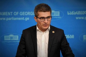 mamuka-mdinaraZe-aleko-elisaSvilis-mxridan-politpatimrebis-sakiTxis-wamoWras-radikaluri-opoziciis-gavlenas-ukavSirebs