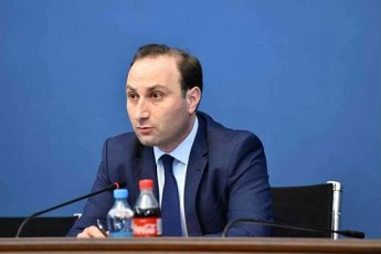 anri-oxanaSvili-daaxloebiT-95-jer-aris-naxsenebi-2021-wlis-21-ianvris-strasburgis-gadawyvetilebaSi-sityva-okupacia