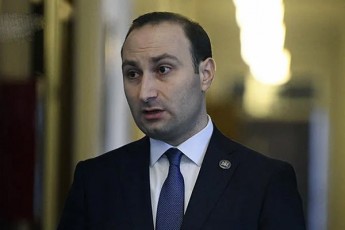 anri-oxanaSvili-nika-meliaze-politikuri-xulignobis-dro-saqarTveloSi-ar-aris-es-warsuls-Cabarda