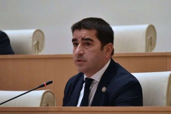 Salva-papuaSvilma-saparlamento-sagamoZiebo-komisiis-muSaobis-vadebi-daasaxela
