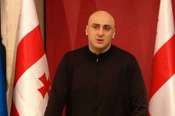 nika-melia-irakli-RaribaSvilis-premierad-daniSvna-pirdapir-niSnavs-riggareSe-arCevnebs