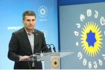 mamuka-mdinaraZe-molaparakebas-alternativa-ar-aqvs