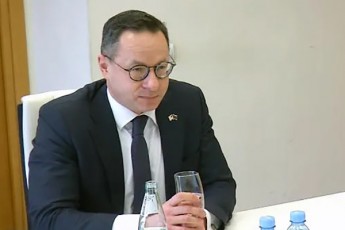 Jigimantas-pavilionisi-latviel-estonel-polonel-Cex-germanel-britanel-da-amerikel-kanonmdeblebTan-erTad-saqarTveloSi-arsebul-mdgomareobaze-gancxadebas-avrcelebs