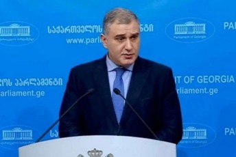 mixeil-sarjvelaZe-opoziciis-mxridan-plebiscitis-moTxovna-procesis-logikuri-gagrZeleba-ar-aris