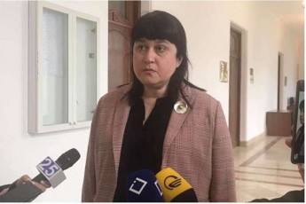 Tamar-gabunia-TbilisSi-faizeris-registraciis-javSnebi-praqtikulad-Seivso