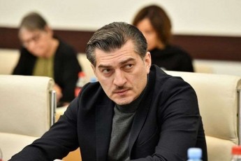mixeil-yavelaSvili-mTeli-saqarTvelo-iyo-amis-TviTmxilveli-Tu-rogor-mouwodebda-nika-melia-adamianebs-SeWriliyvnen-parlamentSi
