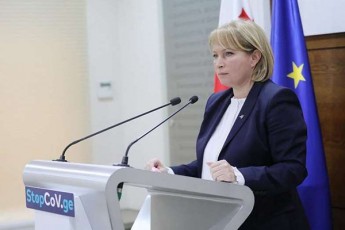 naTia-Turnava-ganaxlebuli-regionebis-programa-axal-sicocxles-SesZens-municipalitetebs