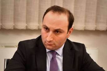 anri-oxanaSvili-qarTuli-ocnebis-gundma-miviReT-gadawyvetileba-rom-SevasruloT-xelSekrulebiT-nakisri-valdebuleba-da-davainiciroT-amnistiis-Sesaxeb-kanoni
