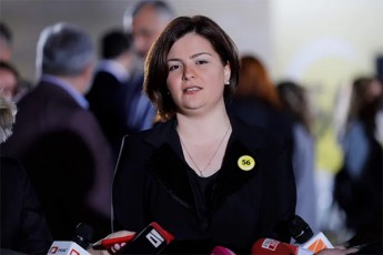 ana-nacvliSvili-aravis-aqvs-ufleba-deputats-miuTiTos-rodis-movides-parlamentSi-da-ra-gaakeTos-es-aris-Cveni-gadasawyveti