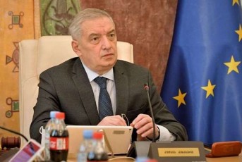 giorgi-volski-Tuki-qveynis-ngrevas-gamoeTiSe-vaJkacobac-geyos-rom-parlamentSi-imuSao