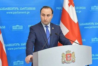 anri-oxanaSvili-nika-meliazea-damokidebuli-darCeba-sasjelaRsrulebis-dawesebulebaSi-Tu-datovebs-am-dawesebulebas