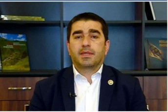 Salva-papuaSvili-nika-meliaze-kargia-rom-gonivruli-gadawyvetileba-miiRo