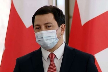 oponentebis-gancxadeba-rom-nika-meliasTvis-giraos-gadaxdis-Semdeg-amnistiis-proeqtis-gamoyeneba-saWiro-aRar-aris-usafuZvlo-da-upasuxismgeblo-spekulaciaa