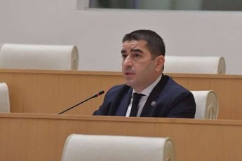 Salva-papuaSvili-ceskos-Tavmjdomaris-moadgilec-neitraluri-figura-unda-iyos