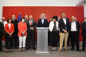 erTiani-nacionaluri-moZraoba-parlamentSi-Sedis