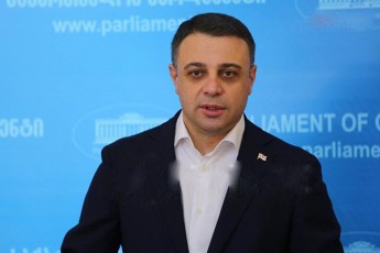 aluda-RuduSauri-nacionaluri-moZraoba-cdilobs-parlamentSi-Semoiparos-Tumca-maT-hqondaT-SesaZlebloba-rom-Rirseulad-SemobrZanebuliyvnen