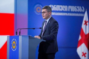 mamuka-mdinaraZe-guSin-biZina-ivaniSvilis-gancxadebam-cru-proeqts-wertili-dausva