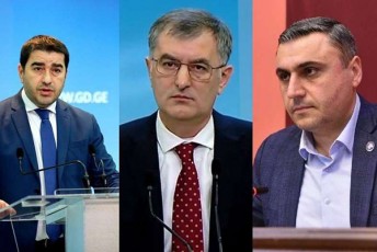 giorgi-gaxarias-gancxadeba-da-saparlamento-umravlesobis-Sefasebebi