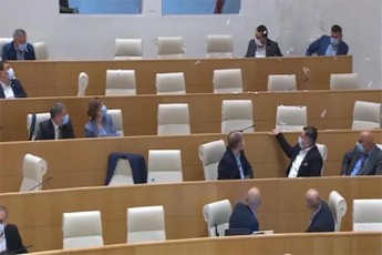 parlamentis-sxdomis-mimdinareobisas-samoqalaqo-aqtivistebma-sxdomaTa-darbazSi-furclebi-gadayares