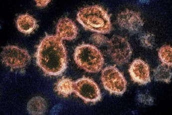 kvleva-20-aTasi-wlis-win-aRmosavleT-aziaSi-koronavirusis-epidemia-iyo