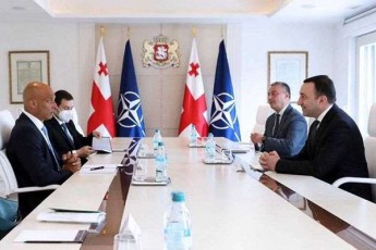 irakli-RaribaSvilma-jeims-apaturais-saqarTvelos-natoSi-integraciis-procesSi-gaweuli-Zalisxmevisa-da-mxardaWerisTvis-madloba-gadauxada