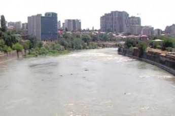 mamakacma-romelmac-curva-ar-icoda-ucnobi-gogo-gadaarCina-Tavad-ki-daixrCo---ra-moxda-orTaWalaSi